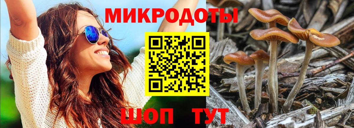 Галлюциногенные грибы MAGIC MUSHROOMS Бузулук